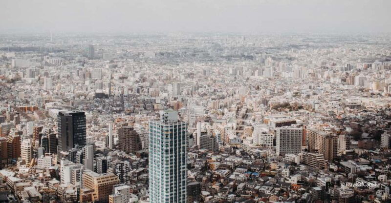 tokyo-half-day-private-tour-with-an-expert