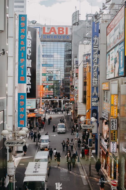 tokyo-half-day-private-tour-with-an-expert