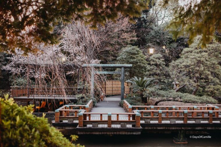 tokyo-half-day-private-tour-with-an-expert