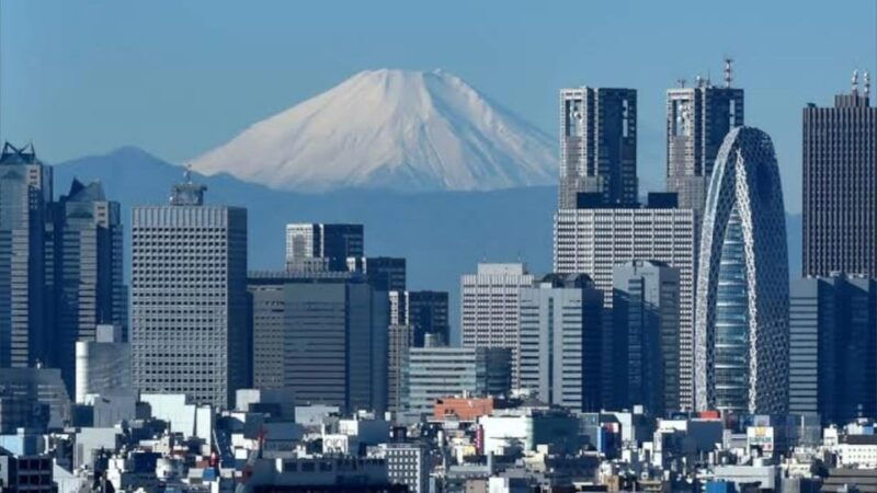 tokyo-half-day-tour-with-a-local-expert-guide
