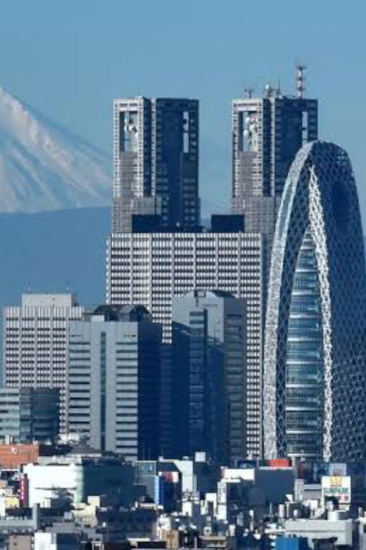 tokyo-half-day-tour-with-a-local-expert-guide