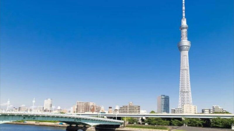 tokyo-half-day-tour-with-a-local-expert-guide