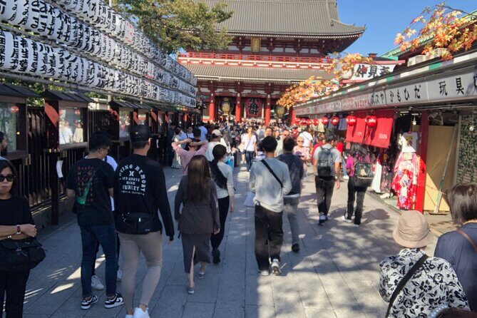 Tokyo Half Walking Day Tour with a Local Expert Guide - The Practicalities: What to Expect