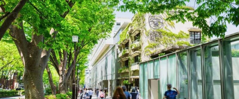 Tokyo: Harajuku and Omotesando Fashion Shopping Walking Tour - Transition to Omotesando: The Architectural & Luxury Hub