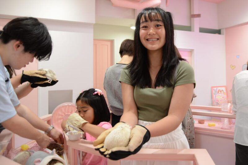 tokyo-harajuku-family-friendly-guided-walking-tour