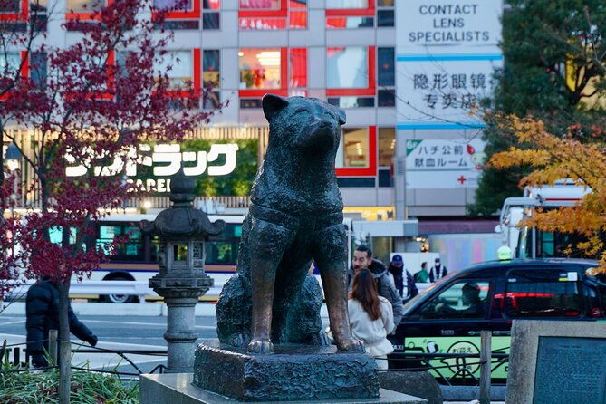tokyo-harajuku-from-meiji-shrine-to-shibuya-crossing-2