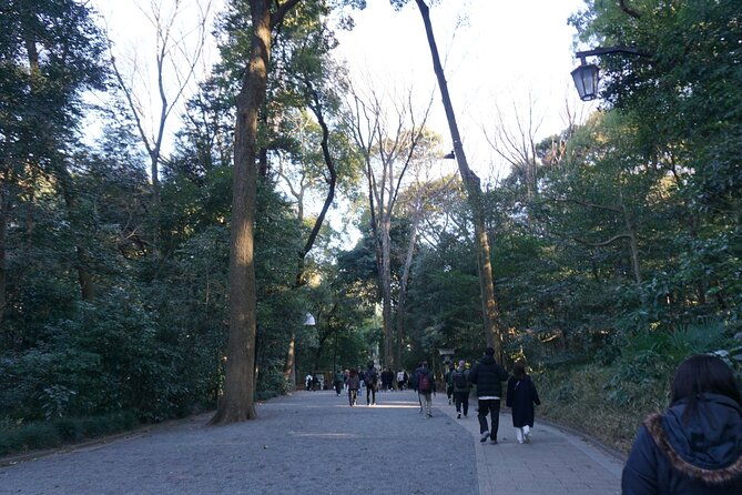 tokyo-harajuku-from-meiji-shrine-to-shibuya-crossing-2
