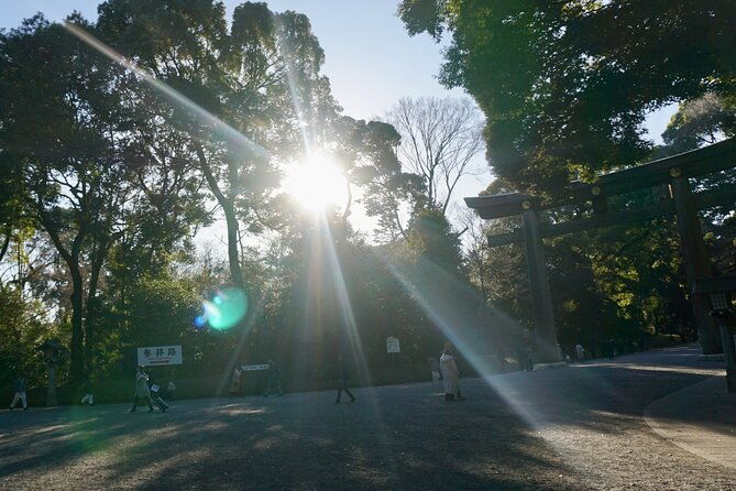tokyo-harajuku-from-meiji-shrine-to-shibuya-crossing-2