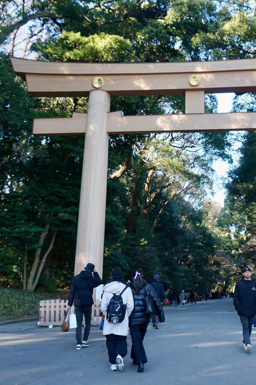 tokyo-harajuku-from-meiji-shrine-to-shibuya-crossing