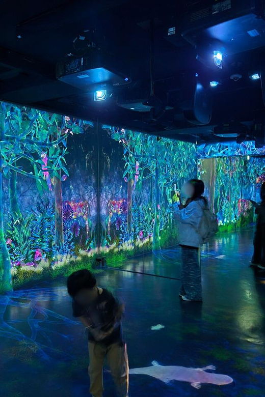 tokyo-harajuku-kawaii-pop-culture-shopping-tour