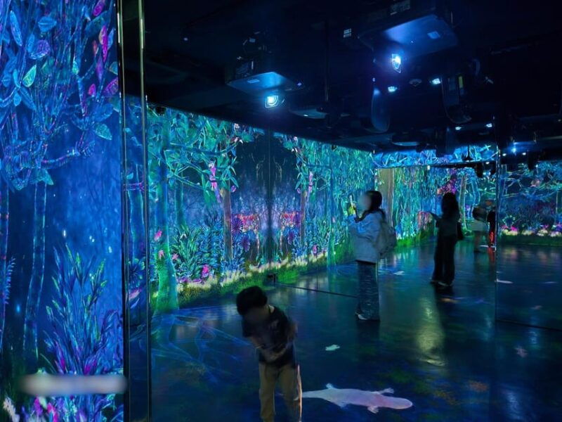 tokyo-harajuku-kawaii-pop-culture-shopping-tour