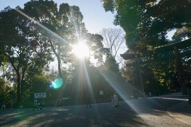 tokyo-harajuku-meiji-shrine-1-hour-explanation-tour