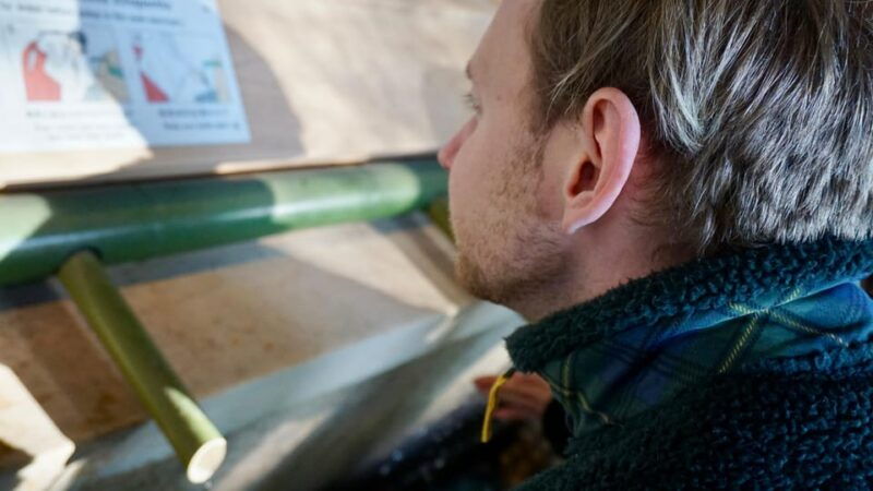 tokyo-harajuku-meiji-shrine-1h-walking-explanation-tour