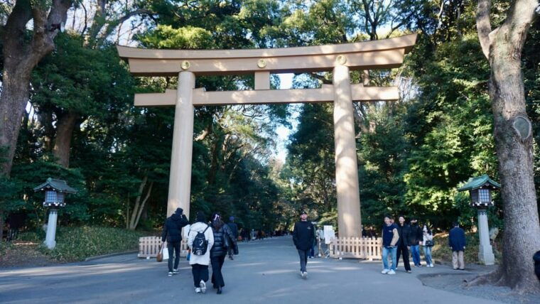 tokyo-harajuku-meiji-shrine-1h-walking-explanation-tour