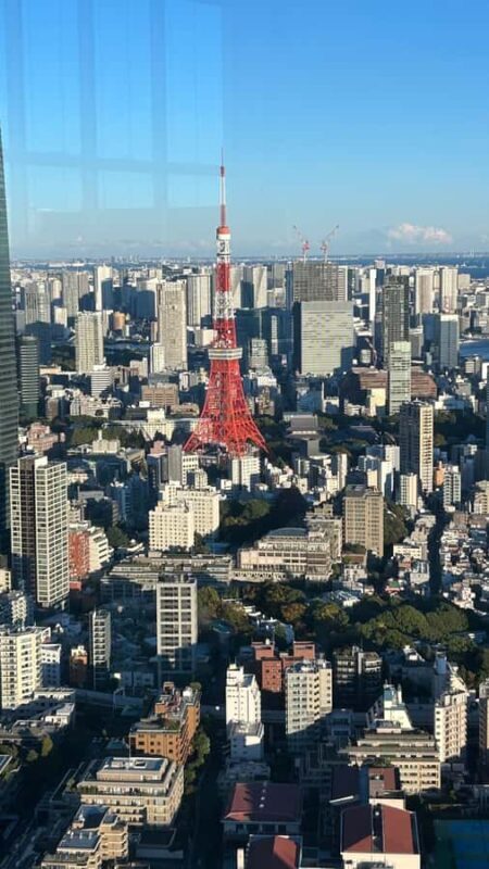 Tokyo: Harajuku, Meiji Shrine, Yoyogi Park & Roppongi Sunset - Key Points