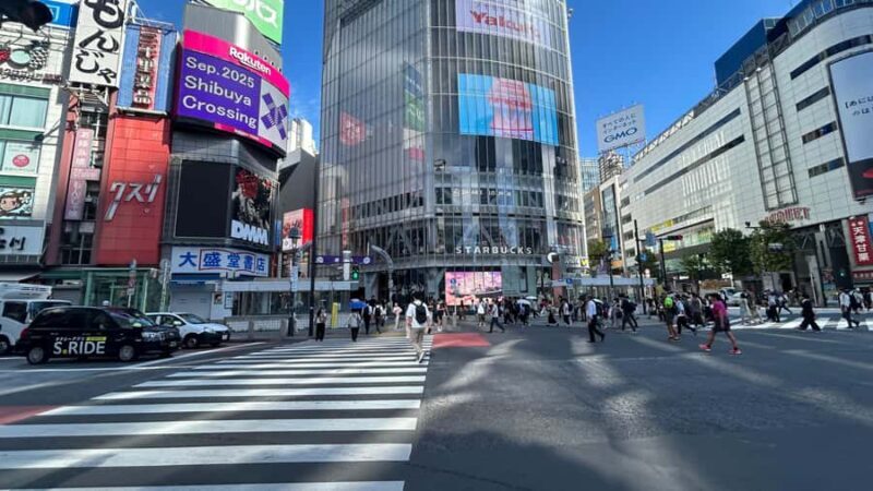 Tokyo: Harajuku, Meiji Shrine, Yoyogi Park & Roppongi Sunset - An In-Depth Look at the Tour Experience