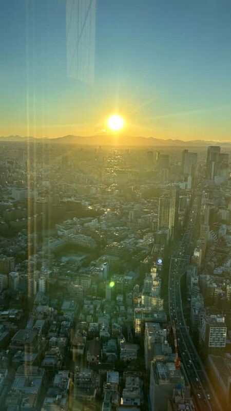 Tokyo: Harajuku, Meiji Shrine, Yoyogi Park & Roppongi Sunset - Who Is This Tour Perfect For?