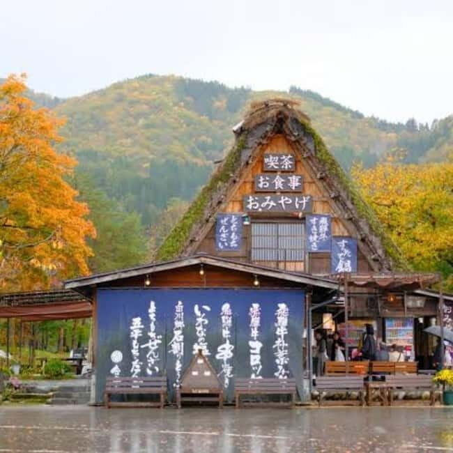 Tokyo: Hida Takayama & Shirakawa-go Day Trip with Guide - Final Thoughts