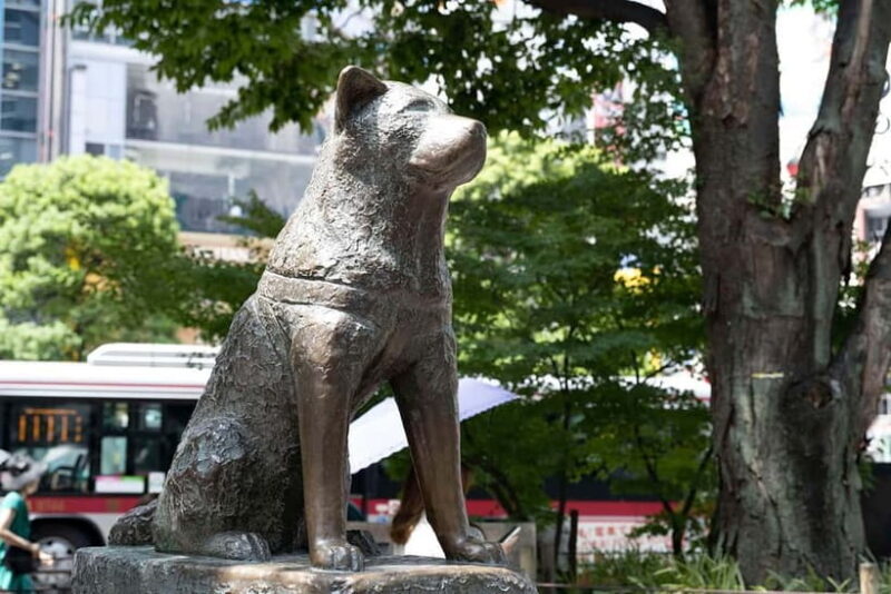 Tokyo Highlights Full-Day Private Tour with Hotel Pickup - Experience Tokyo in a Day: A Detailed Look at the Private Tour