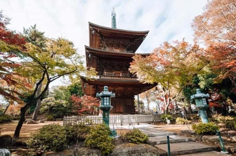 Tokyo Highlights Private Tour: Market, Temples & Skyline Day - Key Points