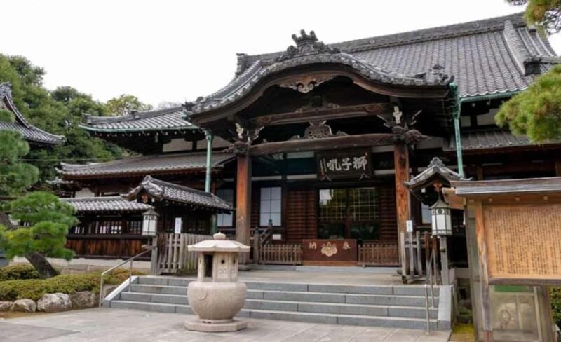 Tokyo Highlights Private Tour: Market, Temples & Skyline Day - Exploring Tokyo with a Private Touch