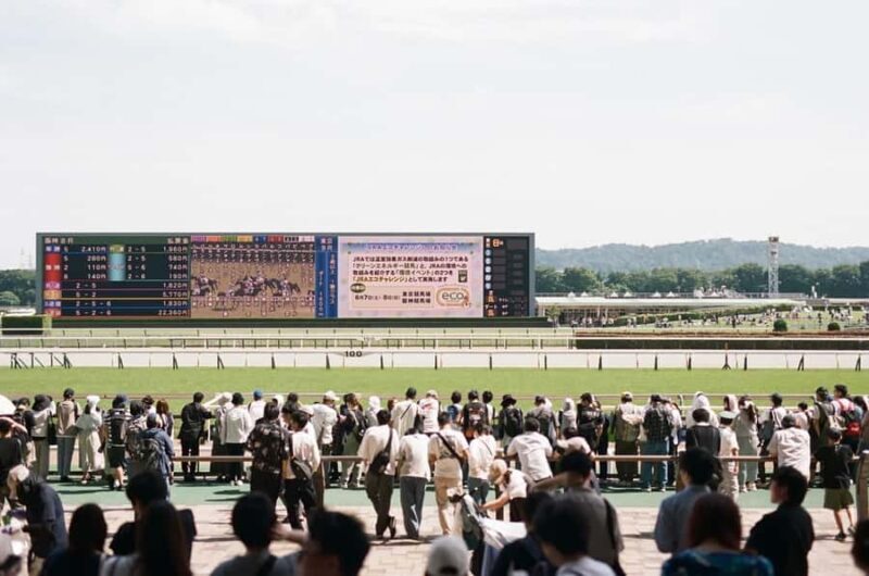 Tokyo: Horse Racing Experience with Local Fan - Introduction
