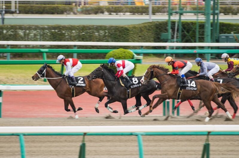 Tokyo: Horse Racing Tour with Local Fan - The Itinerary: What to Expect