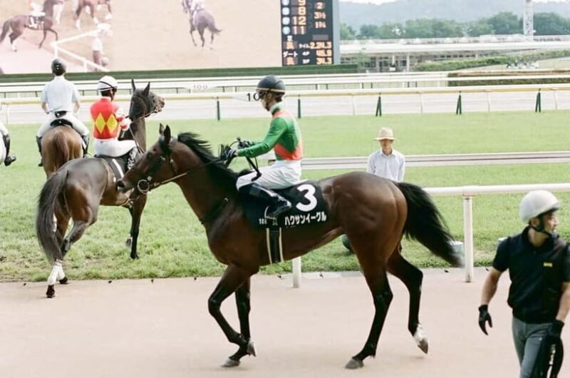 Tokyo: Horse Racing Tour with Local Fan - Food, Drinks, and Socializing