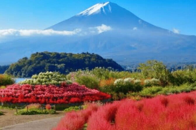 Tokyo Hotel Private Transfer to Disneyland - The Value of This Private Transfer