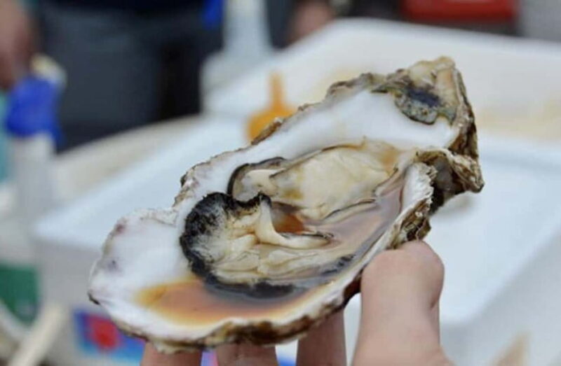 Tokyo: Ibaraki Day Trip with Hitachi Park & Fruit Picking - The Itinerary Breakdown