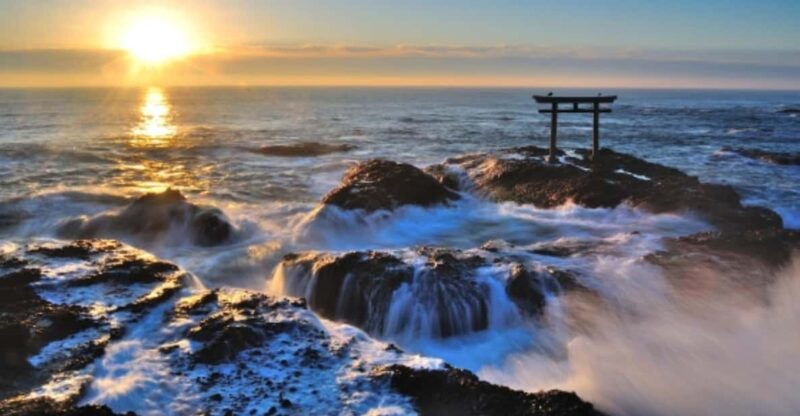 tokyo-ibaraki-shrine-seafood-market-flower-sea-day-tour