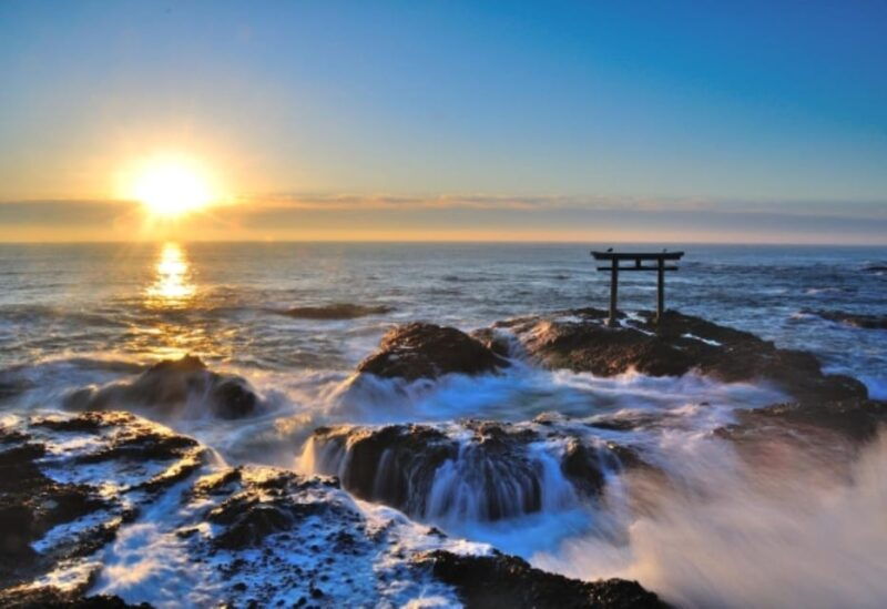 tokyo-ibaraki-shrine-seafood-market-flower-sea-day-tour
