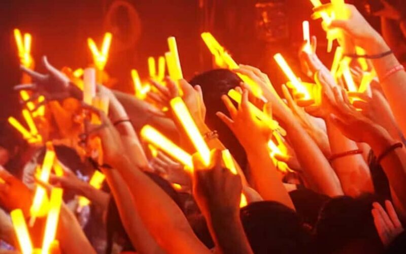 Tokyo Idol Live Experience with Local English Guide - Key Points