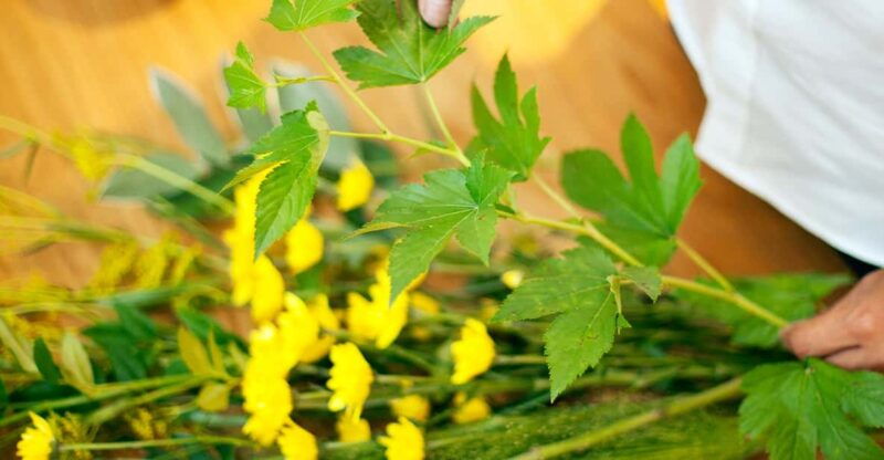 tokyo-ikebana-workshop-at-ginza