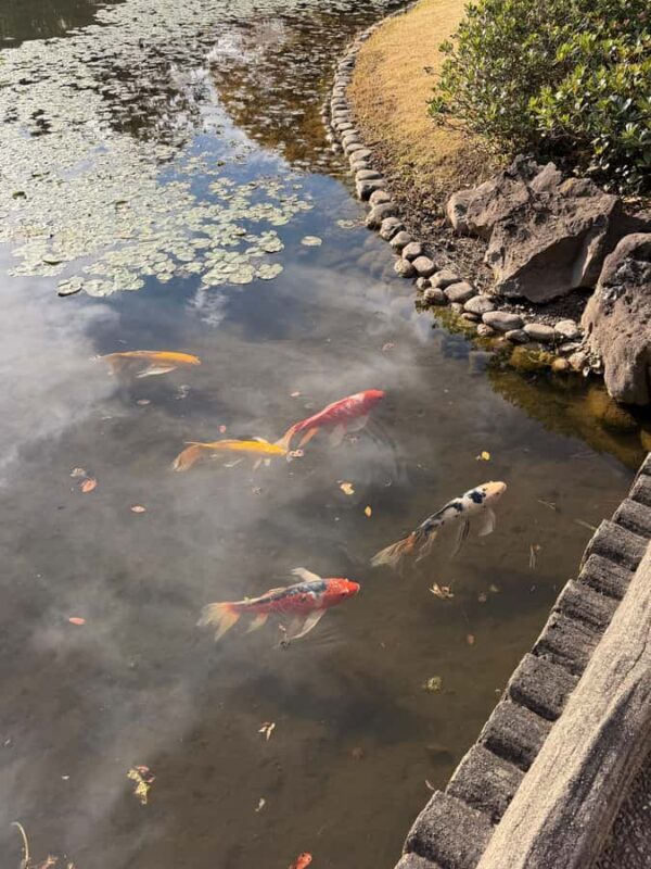 Tokyo: Imperial Palace and Ishibashi bridge walking tour - Key Points