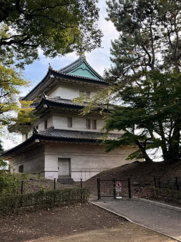 Tokyo: Imperial Palace and Ishibashi bridge walking tour - Practical Details and Value