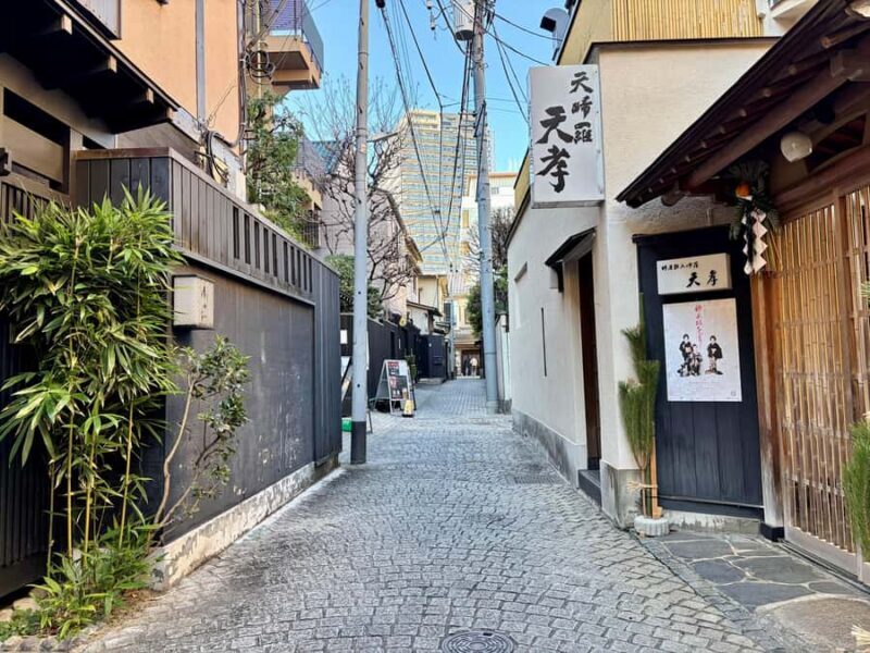 Tokyo: Imperial Palace and Kagurazaka Hidden History Tour - Introduction