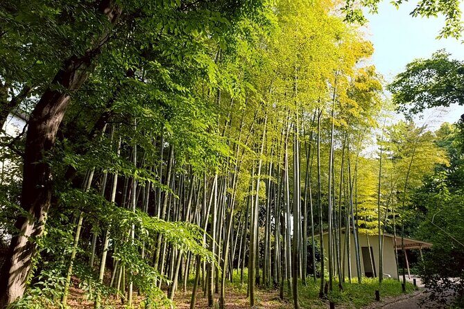 Tokyo: Imperial Palace and Shogun Historical Walking Tour - Introduction