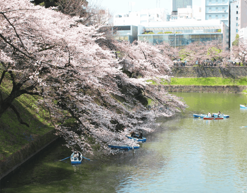 tokyo-imperial-palace-and-tokyo-castle-history-walking-tour