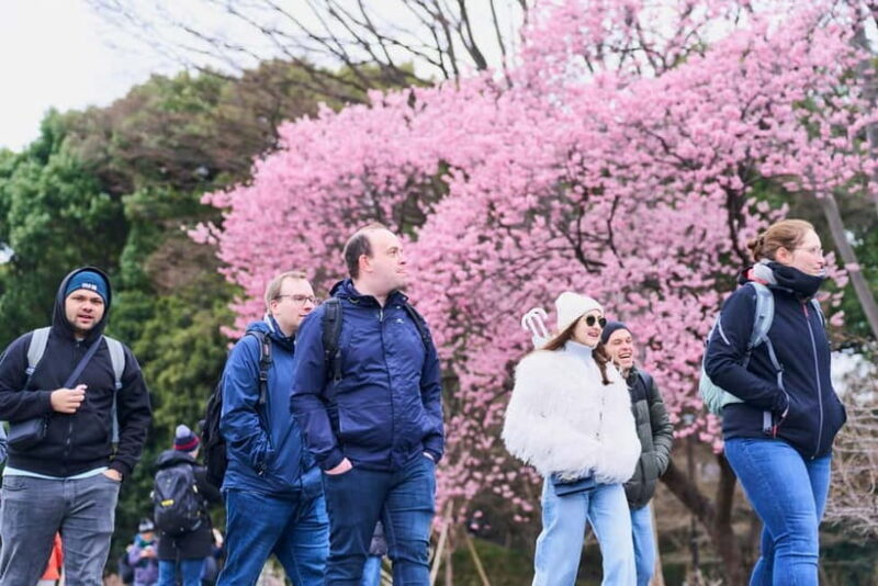 Tokyo: Imperial Palace & Tokyo Castle History Walking Tour - Introduction