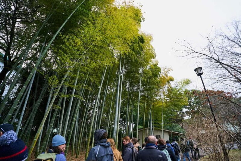 Tokyo: Imperial Palace & Tokyo Castle History Walking Tour - Practical Details & What to Expect