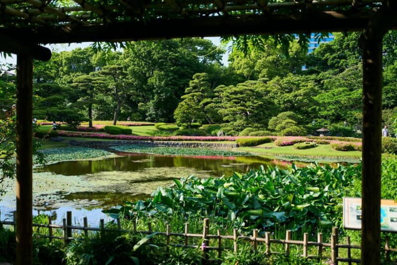 Tokyo: Imperial Palace & Tokyo Castle History Walking Tour - Authentic Experiences & Real Insights from Reviewers