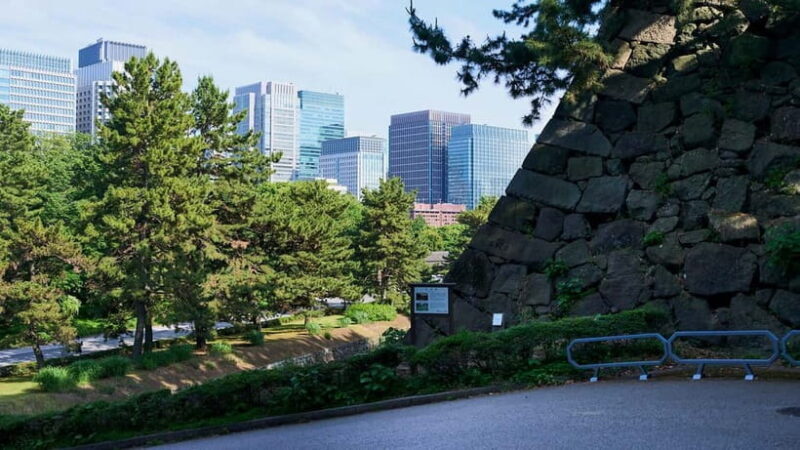 Tokyo: Imperial Palace & Tokyo Castle History Walking Tour - Who Should Consider This Tour?