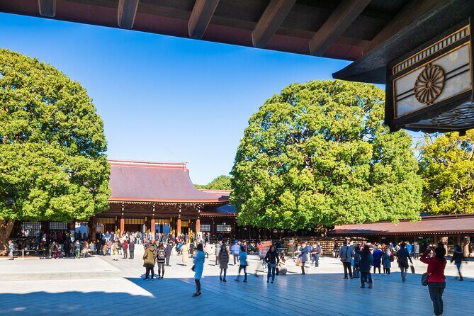 Tokyo in a Day Walking and Metro Tour with Licensed Guide - What the Tour Involves: A Detailed Breakdown