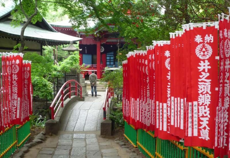 Tokyo: Inokashira Park and Zoo Guided Walking Tour - Exploring Tokyo’s Quiet Charm: Inokashira Park and Zoo Guided Tour Review