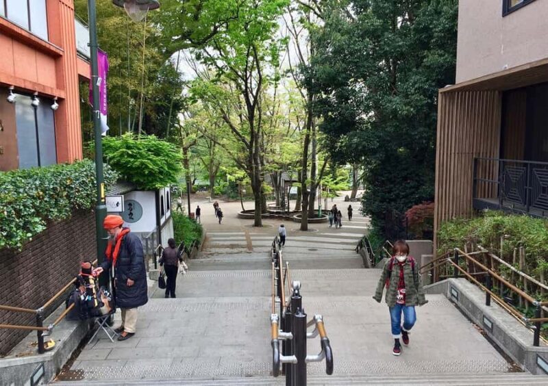 Tokyo: Inokashira Park and Zoo Guided Walking Tour - Key Points