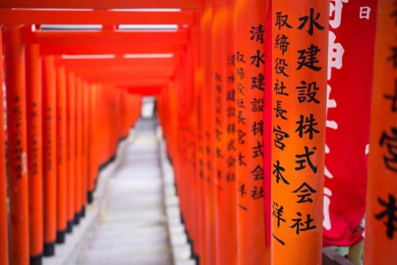 Tokyo: Instagram Highlights Tour with Licensed Guide - Who Is This Tour Best For?