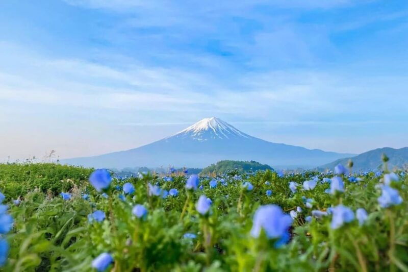 tokyo-instagram-worthy-mt-fuji-lake-kawaguchiko-day-trip-2