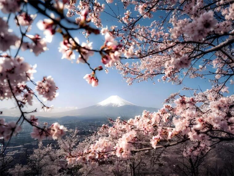 tokyo-instagram-worthy-mt-fuji-lake-kawaguchiko-day-trip