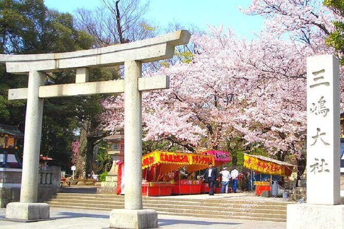 Tokyo: Izu Cherry Blossoms, Mishima Skywalk & Strawberry Picking - The Value Proposition: Is It Worth It?